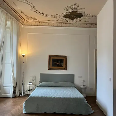 Vittoria The Nest *