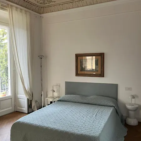 Vittoria The Nest