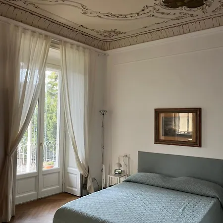 Vittoria The Nest *